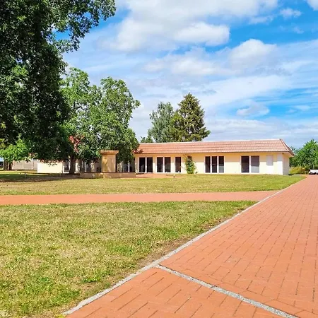 Pet Friendly דירה *